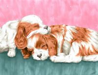 Puppy Love